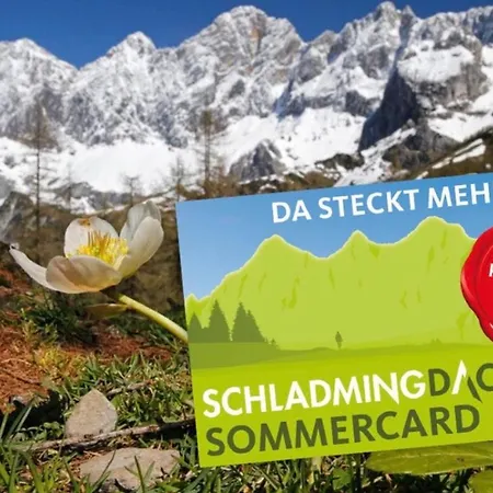 아파트 - Neualm Center *